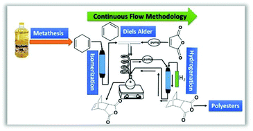 Graphical abstract: Streamlining the conversion of biomass to polyesters: bicyclic monomers with continuous flow