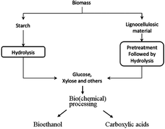 Graphical abstract: Bio(chemo)technological strategies for biomass conversion into bioethanol and key carboxylic acids