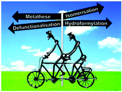 Graphical abstract: Towards resource efficient chemistry: tandem reactions with renewables