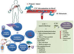 Graphical abstract: Advances of lab-on-a-chip in isolation, detection and post-processing of circulating tumour cells