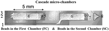 Graphical abstract: Programmable and automated bead-based microfluidics for versatile DNA microarrays under isothermal conditions