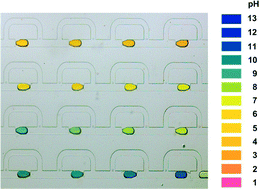 Graphical abstract: A droplet-based pH regulator in microfluidics