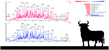 Graphical abstract: Differential protein profile in sexed bovine semen: shotgun proteomics investigation