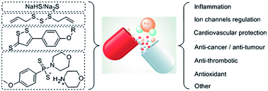 Graphical abstract: Hydrogen sulfide donors in research and drug development