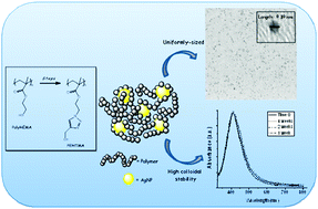 Graphical abstract: Template-directed synthesis of uniformly-sized silver nanoparticles with high colloidal stability