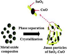 Graphical abstract: One-pot facile synthesis of Janus-structured SnO2–CuO composite nanorods and their application as anode materials in Li-ion batteries