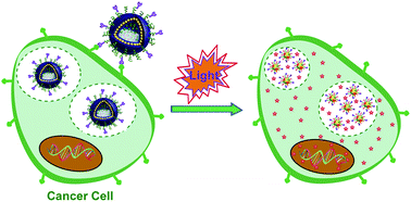 Graphical abstract: Photolabile plasmonic vesicles assembled from amphiphilic gold nanoparticles for remote-controlled traceable drug delivery