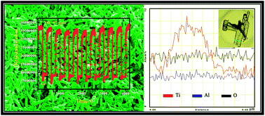 Graphical abstract: Alumina decorated TiO2 nanotubes with ordered mesoporous walls as high sensitivity NOx gas sensors at room temperature