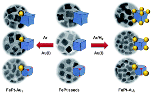 Graphical abstract: Controlled synthesis of FePt–Au hybrid nanoparticles triggered by reaction atmosphere and FePt seeds