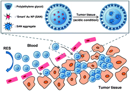 Graphical abstract: pH-responsive gold nanoparticles-in-liposome hybrid nanostructures for enhanced systemic tumor delivery