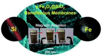 Graphical abstract: In situ synthesis of flexible magnetic γ-Fe2O3@SiO2 nanofibrous membranes
