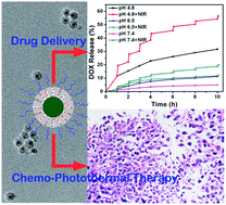 Graphical abstract: Cu2−xSe@mSiO2–PEG core–shell nanoparticles: a low-toxic and efficient difunctional nanoplatform for chemo-photothermal therapy under near infrared light radiation with a safe power density