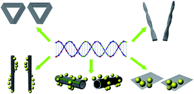 Graphical abstract: Helical nanostructures based on DNA self-assembly