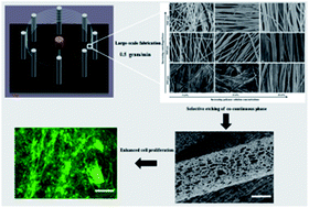 Graphical abstract: Large-scale and highly efficient synthesis of micro- and nano-fibers with controlled fiber morphology by centrifugal jet spinning for tissue regeneration