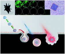 Graphical abstract: Targeting polymeric fluorescent nanodiamond-gold/silver multi-functional nanoparticles as a light-transforming hyperthermia reagent for cancer cells