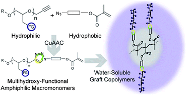Graphical abstract: Combining oxyanionic polymerization and click-chemistry: a general strategy for the synthesis of polyether polyol macromonomers