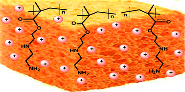 Graphical abstract: A new proton sponge polymer synthesized by RAFT polymerization for intracellular delivery of biotherapeutics