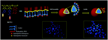 Graphical abstract: Stimuli responsive nanocarrier for an effective delivery of multi-frontline tuberculosis drugs