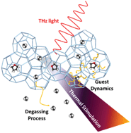 Graphical abstract: Guest molecule dynamics and guest-specific degassing phenomenon of binary gas hydrate investigated by terahertz time-domain spectroscopy