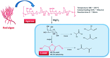 Graphical abstract: Aqueous phase catalytic conversion of agarose to 5-hydroxymethylfurfural by metal chlorides