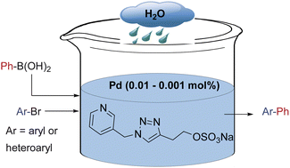Graphical abstract: A water-soluble pyridyl-triazole ligand for aqueous phase palladium catalyzed Suzuki–Miyaura coupling