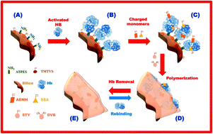 Graphical abstract: Haemoglobin smart plastic antibody material tailored with charged binding sites on silica nanoparticles: its application as an ionophore in potentiometric transduction