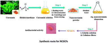 Graphical abstract: Microbial resistant nanocurcumin-gelatin-cellulose fibers for advanced medical applications