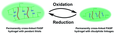 Graphical abstract: Reversible response of poly(aspartic acid) hydrogels to external redox and pH stimuli