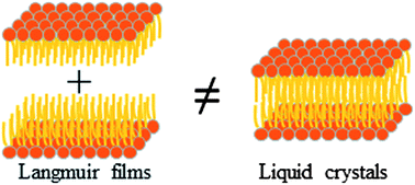 Graphical abstract: Lipid ordering in planar 2D and 3D model membranes