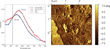 Graphical abstract: Gold nanoparticle self-assembly moderated by a cholesteric liquid crystal