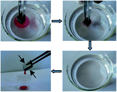 Graphical abstract: Robust superhydrophobic polyurethane sponge as a highly reusable oil-absorption material