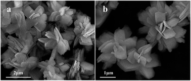 Graphical abstract: A facile hydrothermal synthesis of 3D flowerlike CeO2via a cerium oxalate precursor