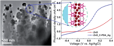 Graphical abstract: Polydopamine-assisted decoration of ZnO nanorods with Ag nanoparticles: an improved photoelectrochemical anode