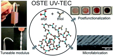 Graphical abstract: UV initiated thiol–ene chemistry: a facile and modular synthetic methodology for the construction of functional 3D networks with tunable properties