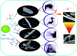 Graphical abstract: Amino acid inspired microscale organization of metallic nanocrystals