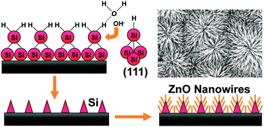 Graphical abstract: Superhydrophobicity of hierarchical ZnO nanowire coatings