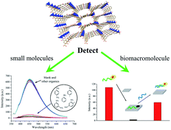 Graphical abstract: Two luminescent metal–organic frameworks for the sensing of nitroaromatic explosives and DNA strands
