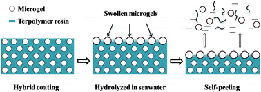 Graphical abstract: Novel hybrid anti-biofouling coatings with a self-peeling and self-generated micro-structured soft and dynamic surface