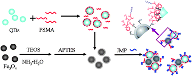 Graphical abstract: A facile method to prepare high-performance magnetic and fluorescent bifunctional nanocomposites and their preliminary application in biomolecule detection