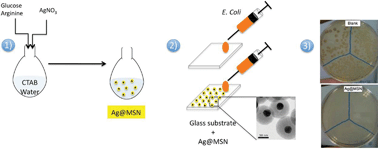 Graphical abstract: A new synthesis of well-dispersed, core–shell Ag@SiO2 mesoporous nanoparticles using amino acids and sugars