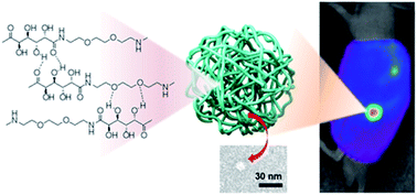 Graphical abstract: Poly(oxyethylene sugaramide)s: unprecedented multihydroxyl building blocks for tumor-homing nanoassembly