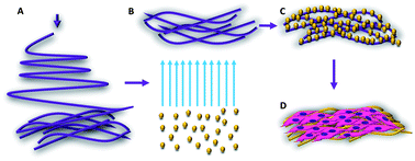 Graphical abstract: Nanoengineering gold particle composite fibers for cardiac tissue engineering