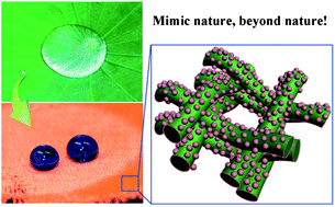 Graphical abstract: Mimic nature, beyond nature: facile synthesis of durable superhydrophobic textiles using organosilanes