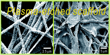 Graphical abstract: Preparation and characterization of an electrospun polycaprolactone (PCL) fibrous mat and multi-layered PCL scaffolds having a nanosized pattern-surface for tissue regeneration