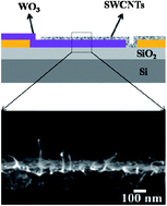Graphical abstract: An edge-contacted pn-heterojunction of a p-SWCNT/n-WO3 thin film