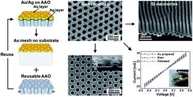 Graphical abstract: A versatile ultra-thin Au nanomesh from a reusable anodic aluminium oxide (AAO) membrane