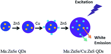Graphical abstract: Aqueous synthesis of multilayer Mn:ZnSe/Cu:ZnS quantum dots with white light emission