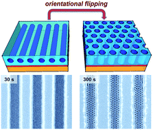Graphical abstract: Thermally induced orientational flipping of cylindrical phase diblock copolymers