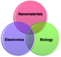 Graphical abstract: Flexible bio-interfaced nanoelectronics