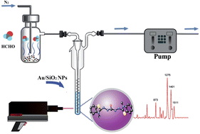 Graphical abstract: Rapid analysis of trace volatile formaldehyde in aquatic products by derivatization reaction-based surface enhanced Raman spectroscopy